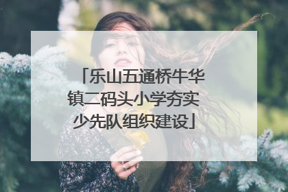 乐山五通桥牛华镇二码头小学夯实少先队组织建设