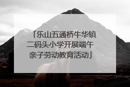 乐山五通桥牛华镇二码头小学开展端午亲子劳动教育活动