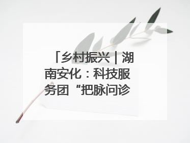 乡村振兴｜湖南安化：科技服务团“把脉问诊”水果产业
