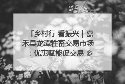 乡村行 看振兴｜嘉禾县龙潭牲畜交易市场：优惠赋能促交易 乡村振兴添动能