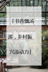 书香飘汤溪，乡村振兴添动力