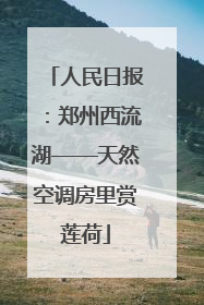 人民日报：郑州西流湖——天然空调房里赏莲荷