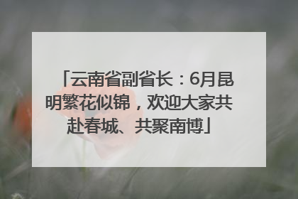 云南省副省长：6月昆明繁花似锦，欢迎大家共赴春城、共聚南博