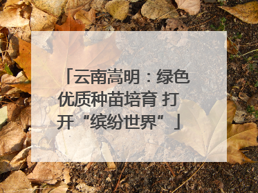 云南嵩明：绿色优质种苗培育 打开“缤纷世界”