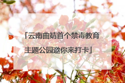 云南曲靖首个禁毒教育主题公园邀你来打卡