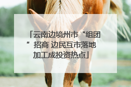 云南边境州市“组团”招商 边民互市落地加工成投资热点