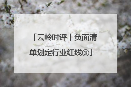 云岭时评丨负面清单划定行业红线③