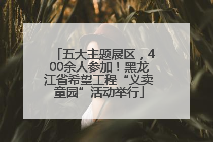 五大主题展区，400余人参加！黑龙江省希望工程“义卖童园”活动举行