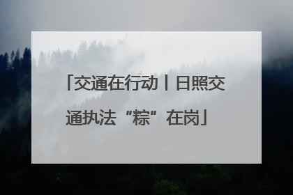 交通在行动丨日照交通执法“粽”在岗