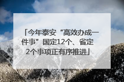 今年泰安“高效办成一件事”国定12个、省定2个事项正有序推进