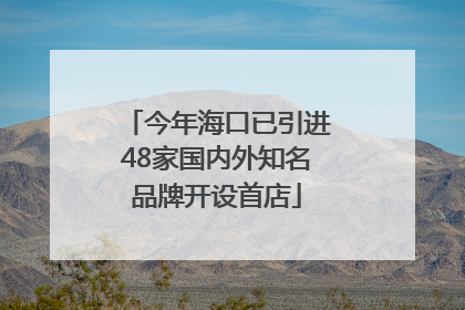 今年海口已引进48家国内外知名品牌开设首店