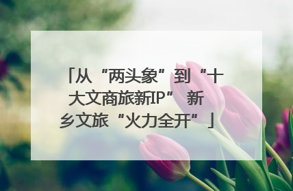 从“两头象”到“十大文商旅新IP” 新乡文旅“火力全开”