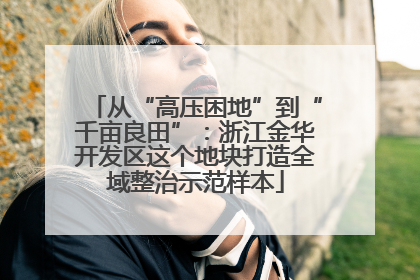 从“高压困地”到“千亩良田”：浙江金华开发区这个地块打造全域整治示范样本