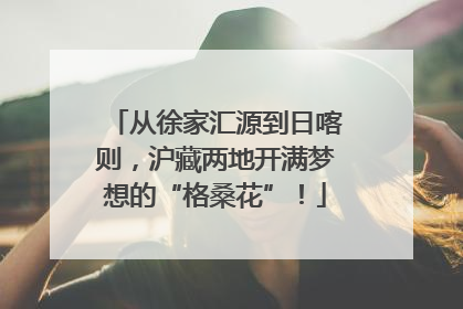 从徐家汇源到日喀则，沪藏两地开满梦想的“格桑花”！
