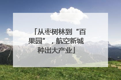 从枣树林到“百果园”，航空新城种出大产业