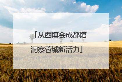 从西博会成都馆洞察蓉城新活力