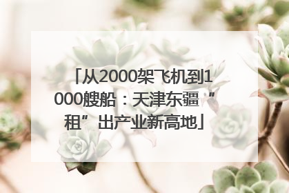 从2000架飞机到1000艘船：天津东疆“租”出产业新高地