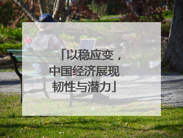 以稳应变，中国经济展现韧性与潜力