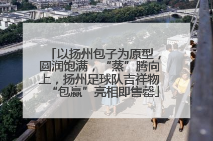 以扬州包子为原型，圆润饱满，“蒸”腾向上，扬州足球队吉祥物“包赢”亮相即售罄