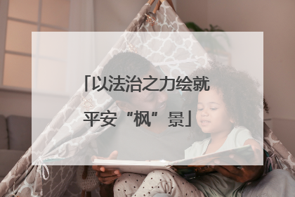 以法治之力绘就平安“枫”景