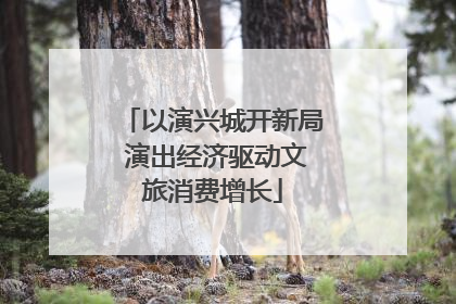 以演兴城开新局 演出经济驱动文旅消费增长