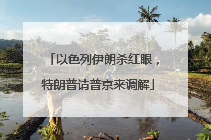 以色列伊朗杀红眼，特朗普请普京来调解