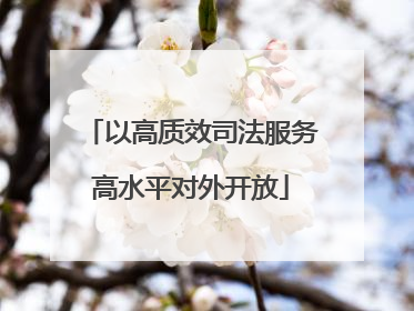 以高质效司法服务高水平对外开放