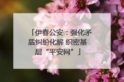 伊春公安：强化矛盾纠纷化解 织密基层“平安网”
