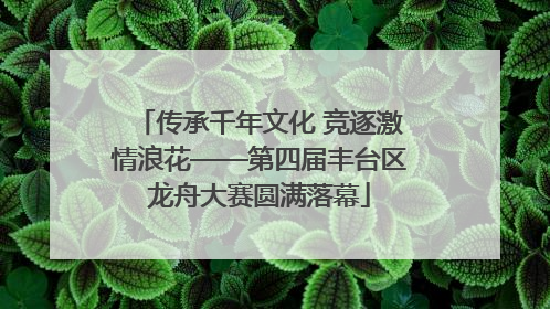 传承千年文化 竞逐激情浪花——第四届丰台区龙舟大赛圆满落幕