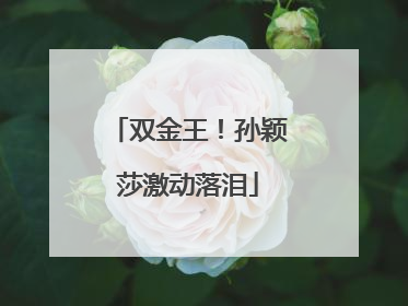 双金王！孙颖莎激动落泪