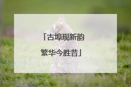 古埠现新韵 繁华今胜昔
