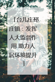 台儿庄邳庄镇：发挥人大监督作用 助力人居环境提升