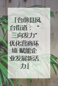 台前县凤台街道：“三向发力”优化营商环境 赋能企业发展新活力