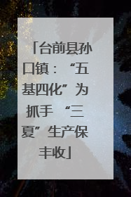 台前县孙口镇：“五基四化”为抓手 “三夏”生产保丰收