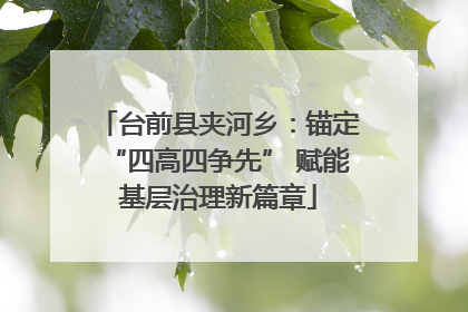 台前县夹河乡：锚定“四高四争先” 赋能基层治理新篇章