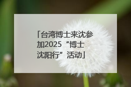 台湾博士来沈参加2025“博士沈阳行”活动