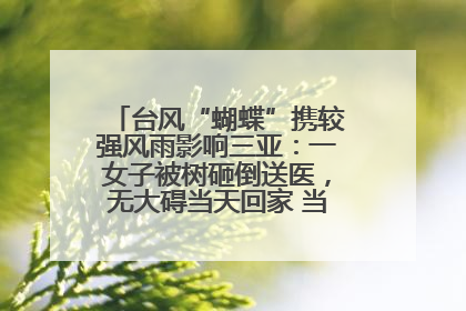 台风“蝴蝶”携较强风雨影响三亚：一女子被树砸倒送医，无大碍当天回家 当地已紧急清障