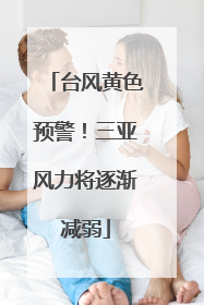 台风黄色预警！三亚风力将逐渐减弱