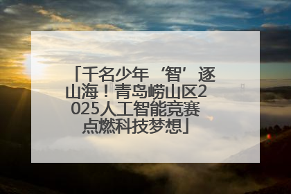 千名少年‘智’逐山海！青岛崂山区2025人工智能竞赛点燃科技梦想