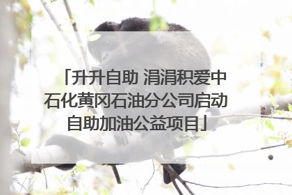 升升自助 涓涓积爱中石化黄冈石油分公司启动自助加油公益项目