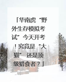 华南虎“野外生存模拟考试”今天开考！究竟是“大猫” 还是顶级猎食者？