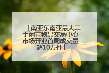 南亚东南亚最大二手闲置物品交易中心市场开业首周成交量超10万件