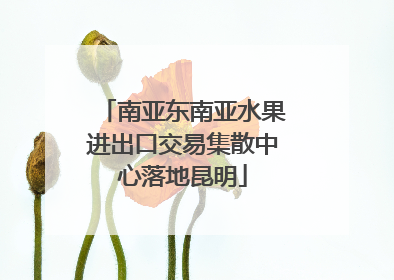 南亚东南亚水果进出口交易集散中心落地昆明