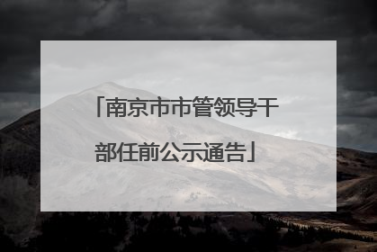 南京市市管领导干部任前公示通告