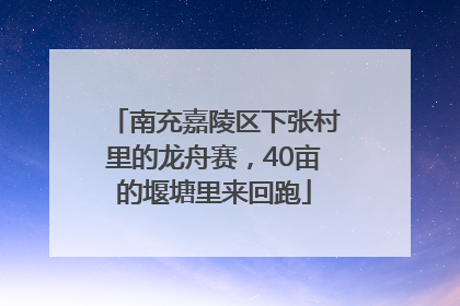 南充嘉陵区下张村里的龙舟赛，40亩的堰塘里来回跑