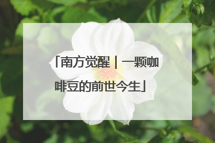 南方觉醒｜一颗咖啡豆的前世今生
