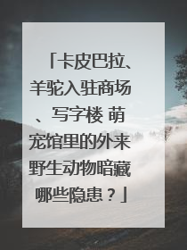 卡皮巴拉、羊驼入驻商场、写字楼 萌宠馆里的外来野生动物暗藏哪些隐患？