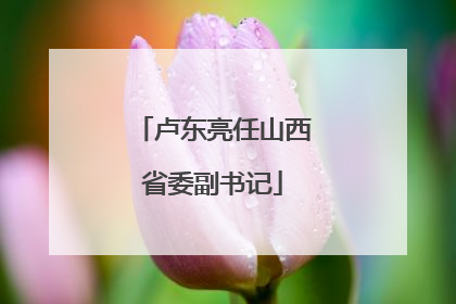 卢东亮任山西省委副书记