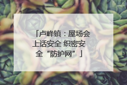 卢峰镇：屋场会上话安全 织密安全“防护网”