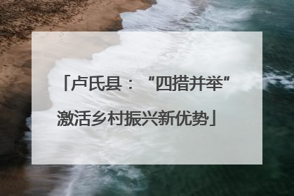 卢氏县：“四措并举”激活乡村振兴新优势
